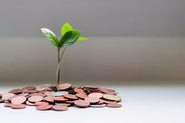 Capital Growth